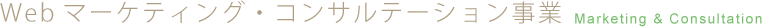 Webマーケティング・コンサルテーション事業